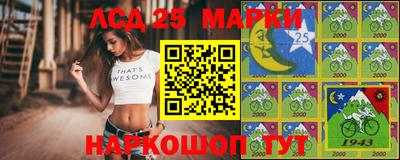 крисы Славгород
