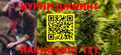 крисы Славгород