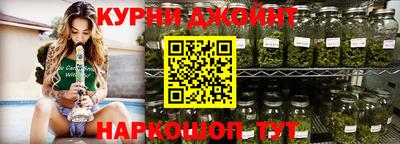 крисы Славгород