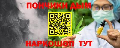 крисы Славгород