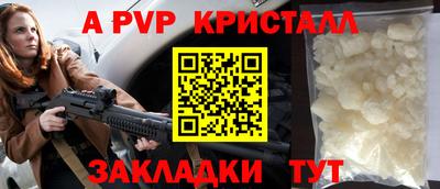 крисы Славгород