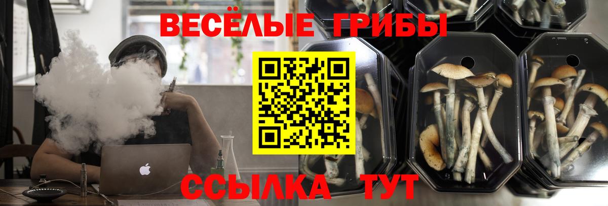 Псилоцибиновые грибы MAGIC MUSHROOMS  Вход с VPN  Галлюциногенные грибы GOLDEN TEACHER  Октябрьский 